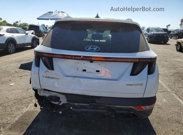 KM8JECD18RU229344 2024 HYUNDAI TUCSON White Widok z tyłu