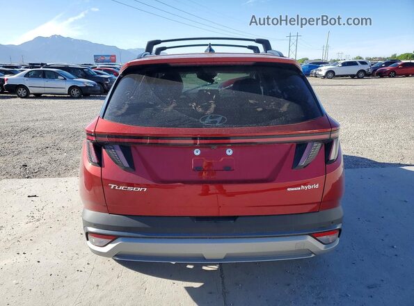 KM8JEDD15TU407823 2026 HYUNDAI TUCSON Red Rear view