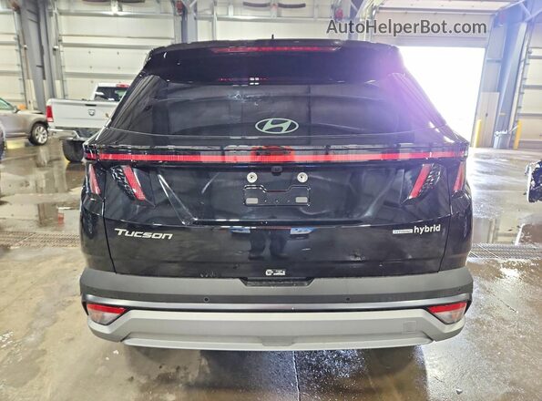 KM8JEDD15TU434763 2026 HYUNDAI TUCSON Black Widok z tyłu