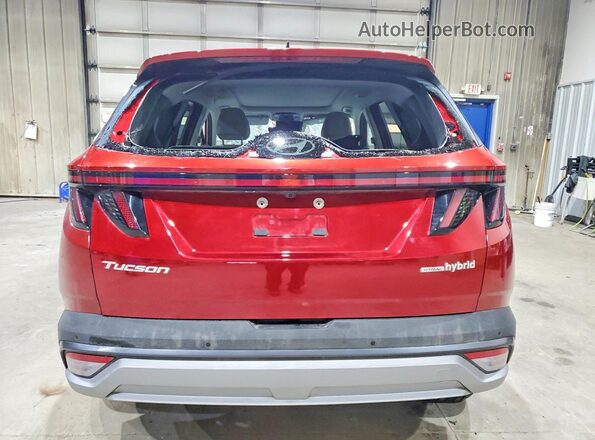 KM8JEDD19TU418338 2026 HYUNDAI TUCSON Red Vista trasera