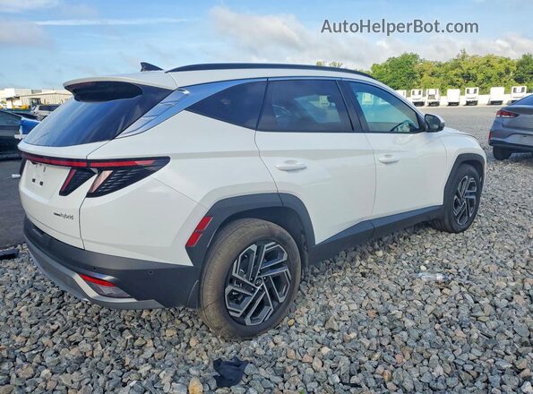KM8JEDD1XTU473235 2026 HYUNDAI TUCSON White Задня права чверть