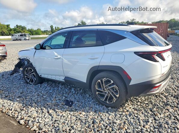 KM8JEDD1XTU473235 2026 HYUNDAI TUCSON White Задня ліва чверть
