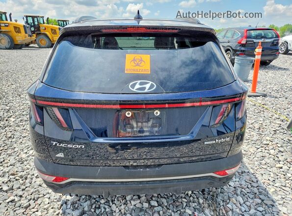 KM8JFCA10PU134565 2023 HYUNDAI TUCSON Blue Rear view