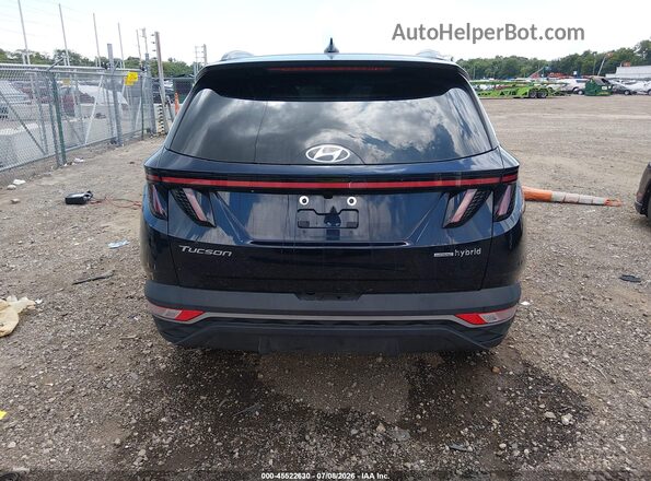 KM8JFCA12PU093310 2023 HYUNDAI TUCSON HYBRID Синий 
