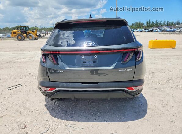 KM8JFCA14NU063089 2022 HYUNDAI TUCSON Green Vista trasera
