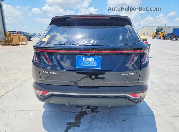 KM8JFCA15PU103263 2023 HYUNDAI TUCSON Black Widok z tyłu