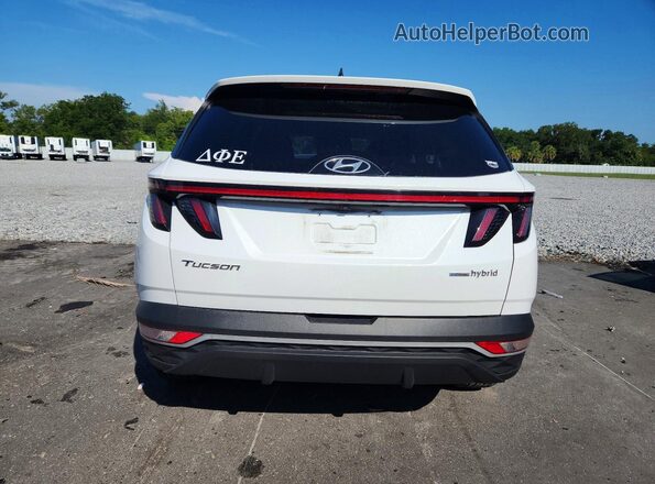 KM8JFCA16NU026982 2022 HYUNDAI TUCSON White Rear view