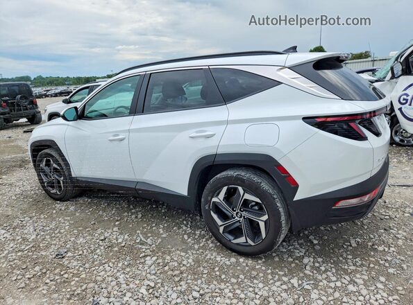 KM8JFCA16PU122341 2023 HYUNDAI TUCSON White Rear left