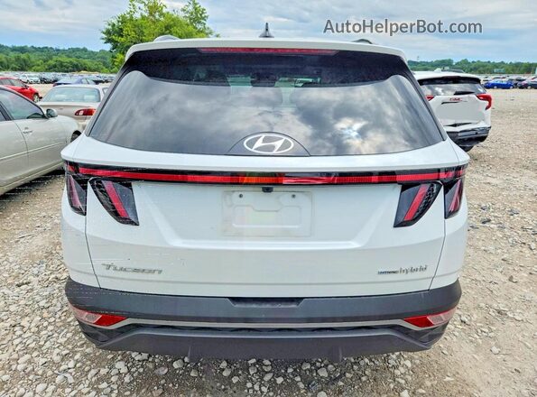 KM8JFCA16PU122341 2023 HYUNDAI TUCSON White Front interior view