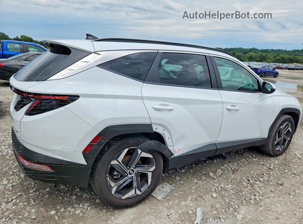 KM8JFCA16PU122341 2023 HYUNDAI TUCSON White Rear right