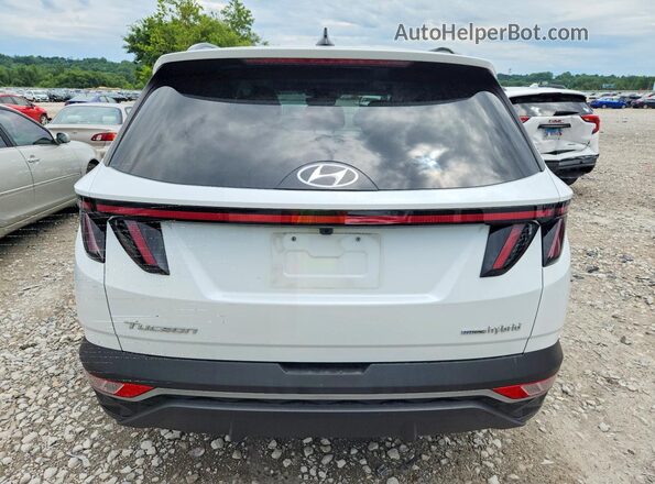 KM8JFCA16PU122341 2023 HYUNDAI TUCSON White Rear view
