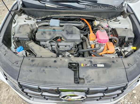 KM8JFCA16PU122341 2023 HYUNDAI TUCSON White Engine compartment view