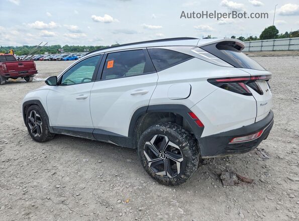 KM8JFCA19PU122303 2023 HYUNDAI TUCSON Белый Задняя левая четверть