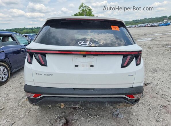 KM8JFCA19PU122303 2023 HYUNDAI TUCSON Белый Вид сзади