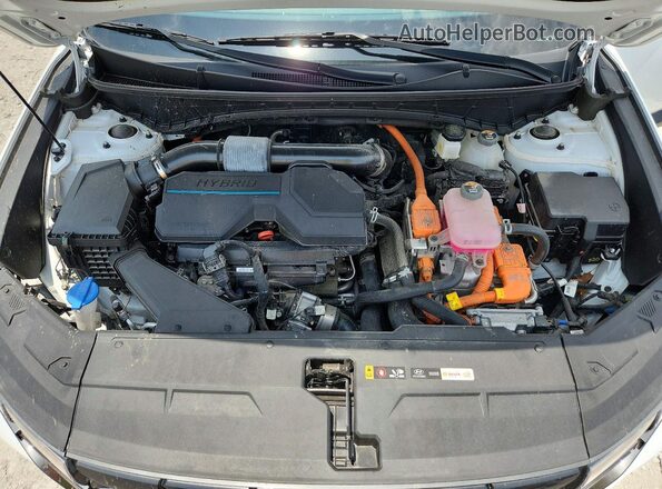 KM8JFCA19PU122303 2023 HYUNDAI TUCSON Белый Вид задней части салона