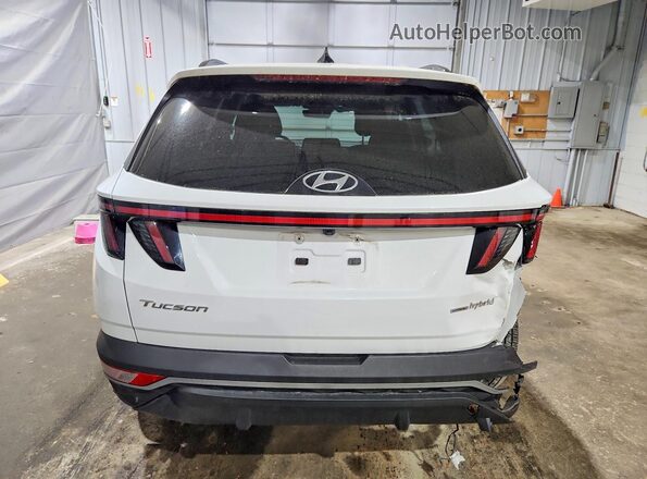 KM8JFCA1XNU040125 2022 HYUNDAI TUCSON White Вид ззаду