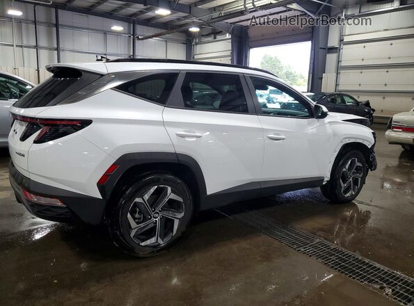 KM8JFCA1XPU122424 2023 HYUNDAI TUCSON White Rear right