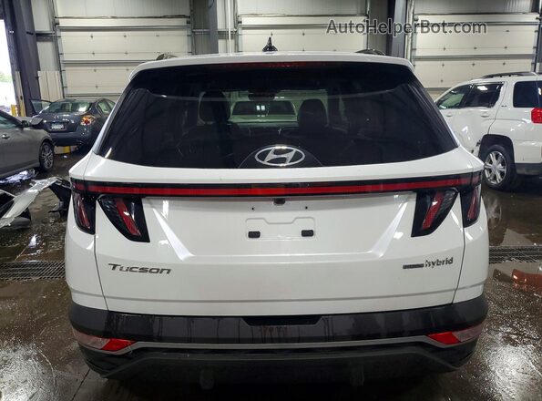 KM8JFCA1XPU122424 2023 HYUNDAI TUCSON White Rear view