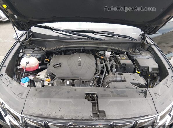 KM8JFCAE2PU201783 2023 HYUNDAI TUCSON Black Widok z tyłu