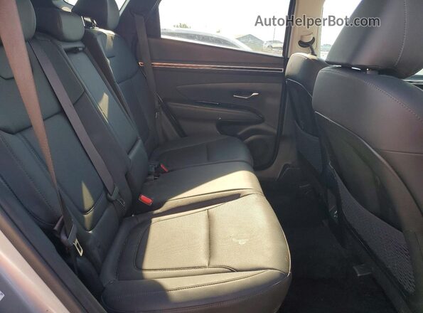 KM8JFCAE6PU208221 2023 HYUNDAI TUCSON Silver Սալոնի հետևի տեսք