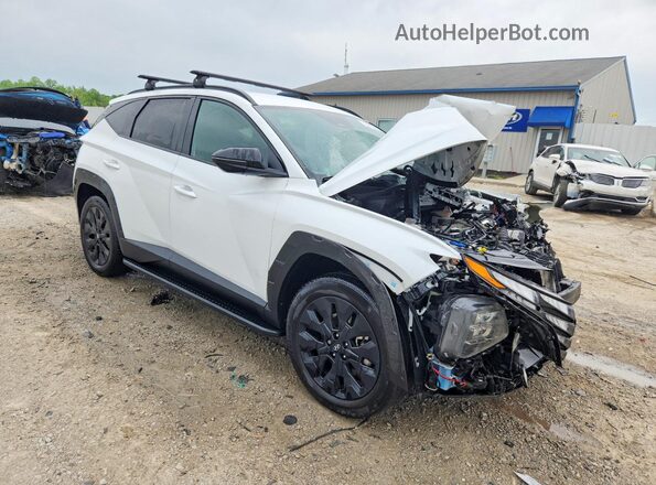 KM8JFCDE2RU298076 2024 HYUNDAI TUCSON Белый Передняя правая четверть