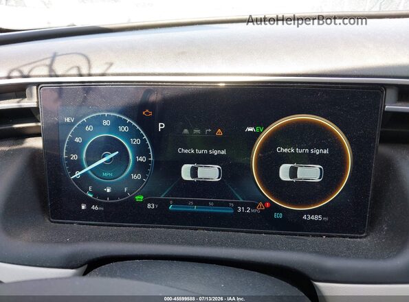 KM8JFDA2XPU125502 2023 HYUNDAI TUCSON PLUG-IN HYBRID Blue Vista de los asientos traseros
