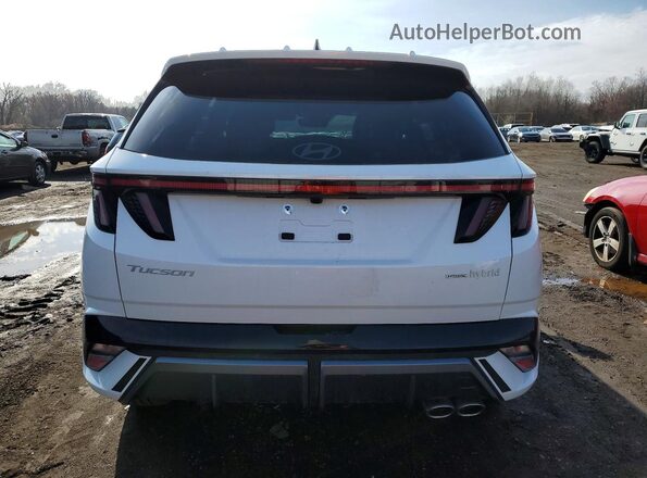 KM8JFDD14SU384644 2025 HYUNDAI TUCSON White Widok z tyłu