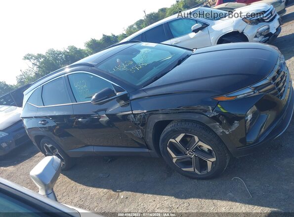 KM8JFDD27RU157239 2024 HYUNDAI TUCSON PLUG-IN HYBRID Черный Вид задней части салона