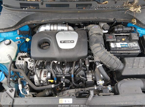 KM8K5CA51LU548538 2020 HYUNDAI KONA Blue Widok z tyłu