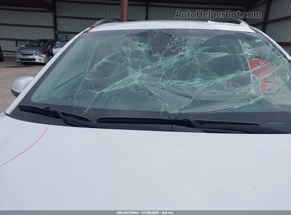 KM8K5CA56LU431232 2020 HYUNDAI KONA White Вид спереду