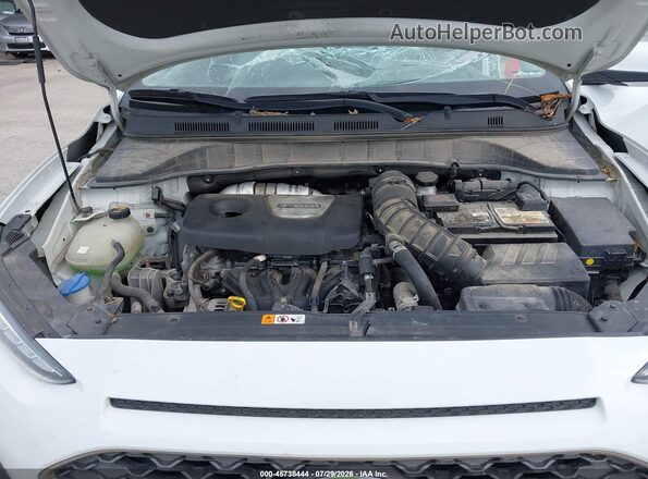 KM8K5CA56LU431232 2020 HYUNDAI KONA White Вид ззаду