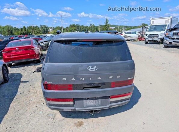 KM8P2DG1XTU139656 2026 HYUNDAI SANTA Gray უკანა ხედი