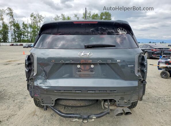 KM8R1DHE5MU205688 2021 HYUNDAI PALISADE Gray Widok z tyłu
