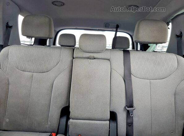 KM8R1DHE9LU038279 2020 HYUNDAI PALISADE Черный Вид задних сидений