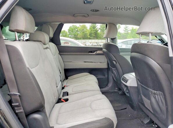 KM8R1DHE9LU038279 2020 HYUNDAI PALISADE Черный Вид задней части салона