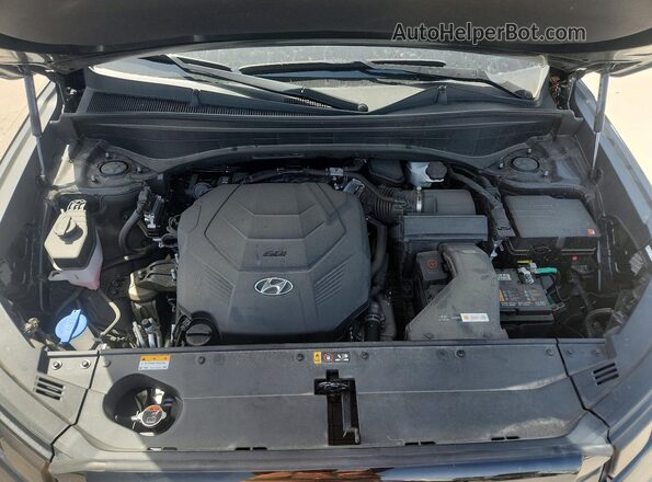 KM8R24GE4SU953960 2025 HYUNDAI PALISADE Black უკანა სალონის ხედი