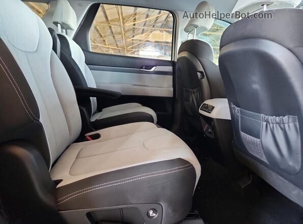 KM8R24HE8LU040635 2020 HYUNDAI PALISADE White Widok wnętrza z tyłu