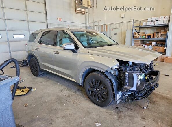 KM8R2DGE2RU726230 2024 HYUNDAI PALISADE Серебряный Передняя правая четверть