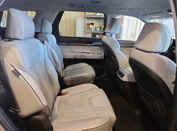 KM8R2DGE2RU726230 2024 HYUNDAI PALISADE Серебряный Вид задней части салона