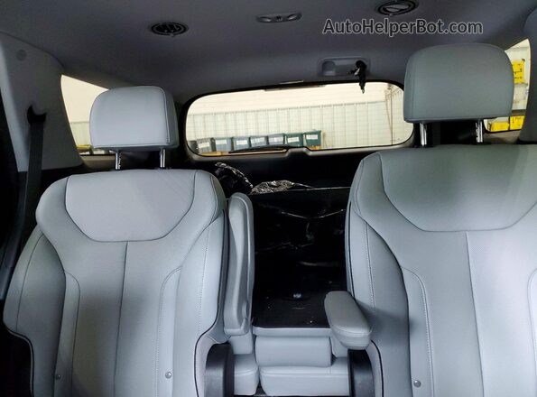 KM8R2DGE5SU823654 2025 HYUNDAI PALISADE Burgundy უკანა სავარძლების ხედი