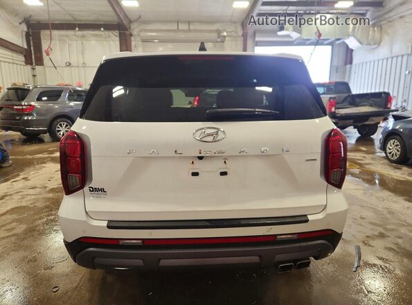 KM8R2DGE9RU773206 2024 HYUNDAI PALISADE Белый Вид сзади