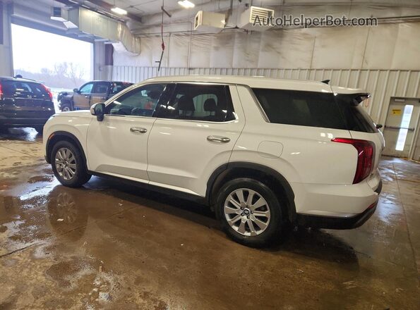 KM8R2DGE9RU773206 2024 HYUNDAI PALISADE Белый Задняя левая четверть