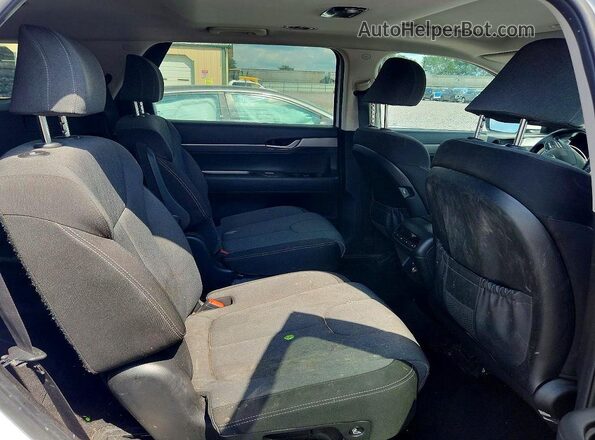 KM8R2DHE0LU092342 2020 HYUNDAI PALISADE White Widok tylnych siedzeń
