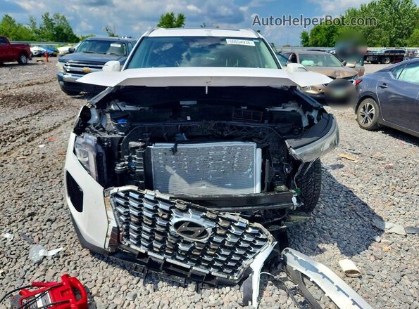 KM8R2DHE0LU092342 2020 HYUNDAI PALISADE White Widok z przodu