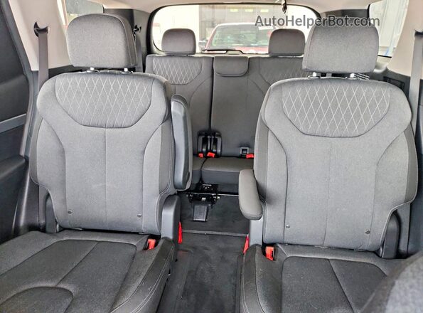 KM8R2DHE5LU050622 2020 HYUNDAI PALISADE Blue Widok tylnych siedzeń