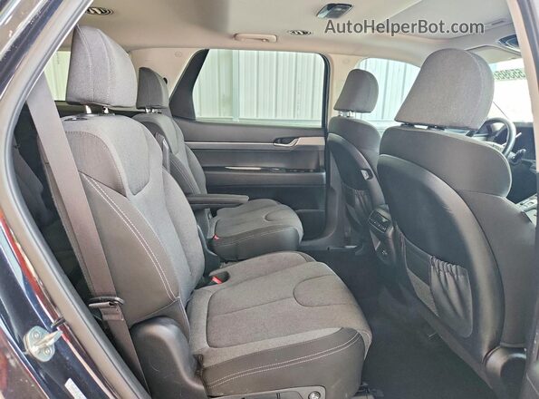 KM8R2DHE5LU050622 2020 HYUNDAI PALISADE Blue Widok wnętrza z tyłu