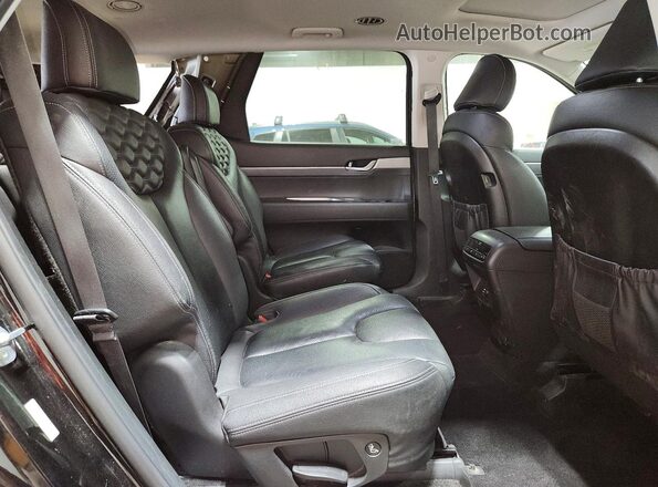 KM8R2DHE5LU102766 2020 HYUNDAI PALISADE Черный Вид задней части салона