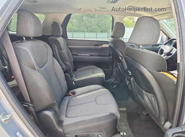 KM8R2DHE7LU052095 2020 HYUNDAI PALISADE Silver Սալոնի հետևի տեսք