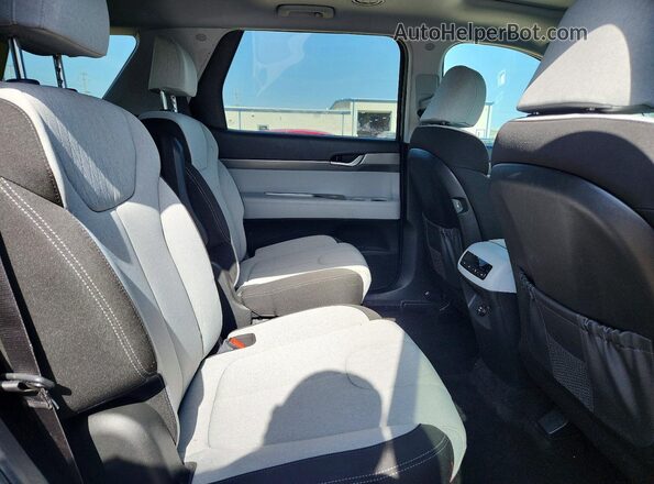 KM8R2DHE7MU215944 2021 HYUNDAI PALISADE Blue Widok wnętrza z tyłu