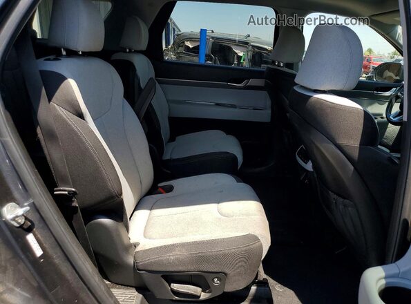 KM8R2DHEXLU068940 2020 HYUNDAI PALISADE Серый Вид задней части салона